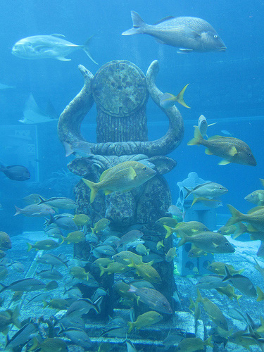Source: Flickr User CC Chapman
Source: Flickr User CC Chapman
