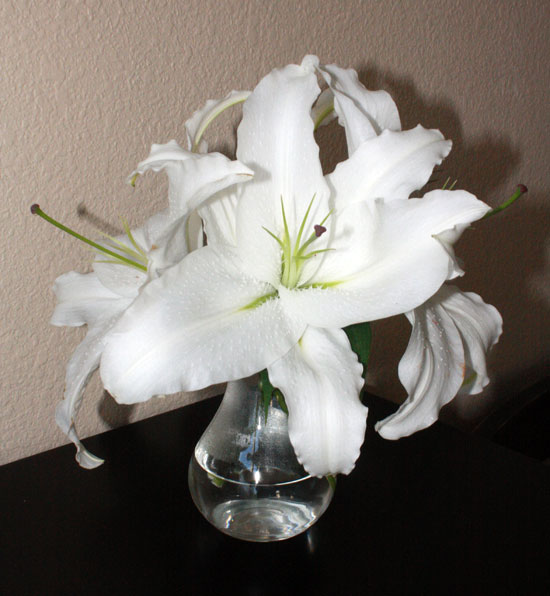 Image Image
