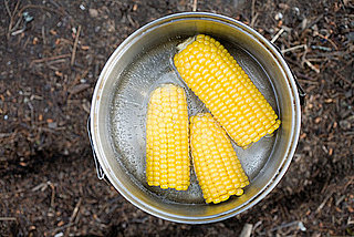 How Do You Feel About Corn on the Cob? How Do You Feel About Corn on the Cob?