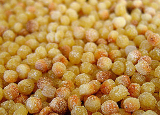 What Is Fregola? What Is Fregola?