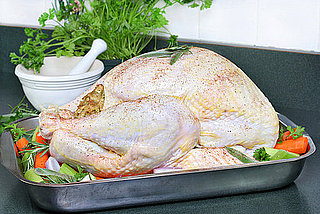 Thanksgiving Turkey Tip Thanksgiving Turkey Tip