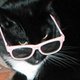 Catsparella Catsparella
