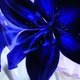 liliblu liliblu