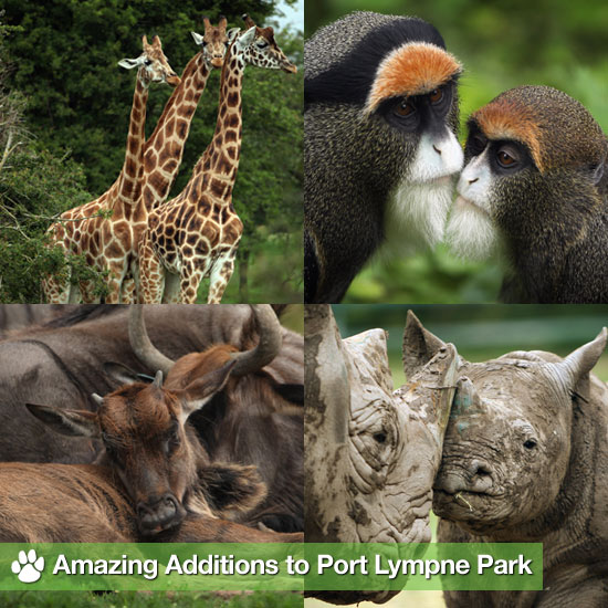 Amazing Additions to Port Lympne Park Amazing Additions to Port Lympne Park