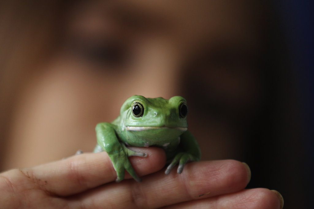 Toad-ally chillin'.
Toad-ally chillin'.