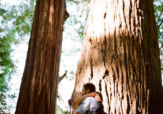 Redwood-Filled Ceremony Redwood-Filled Ceremony