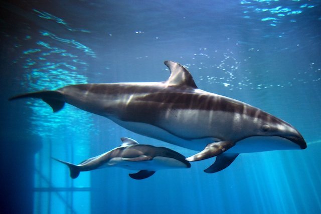 shedd personals By clicking sign up free you are agreeing to the terms, and to receive meetme emailyou are also agreeing that others will be able to see info you provide on your profile. shedd personals By clicking sign up free you are agreeing to the terms, and to receive meetme emailyou are also agreeing that others will be able to see info you provide on your profile.