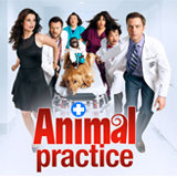 Animal Practice Contest: Instagram a pic of your pet for a chance to win. Animal Practice Contest: Instagram a pic of your pet for a chance to win.