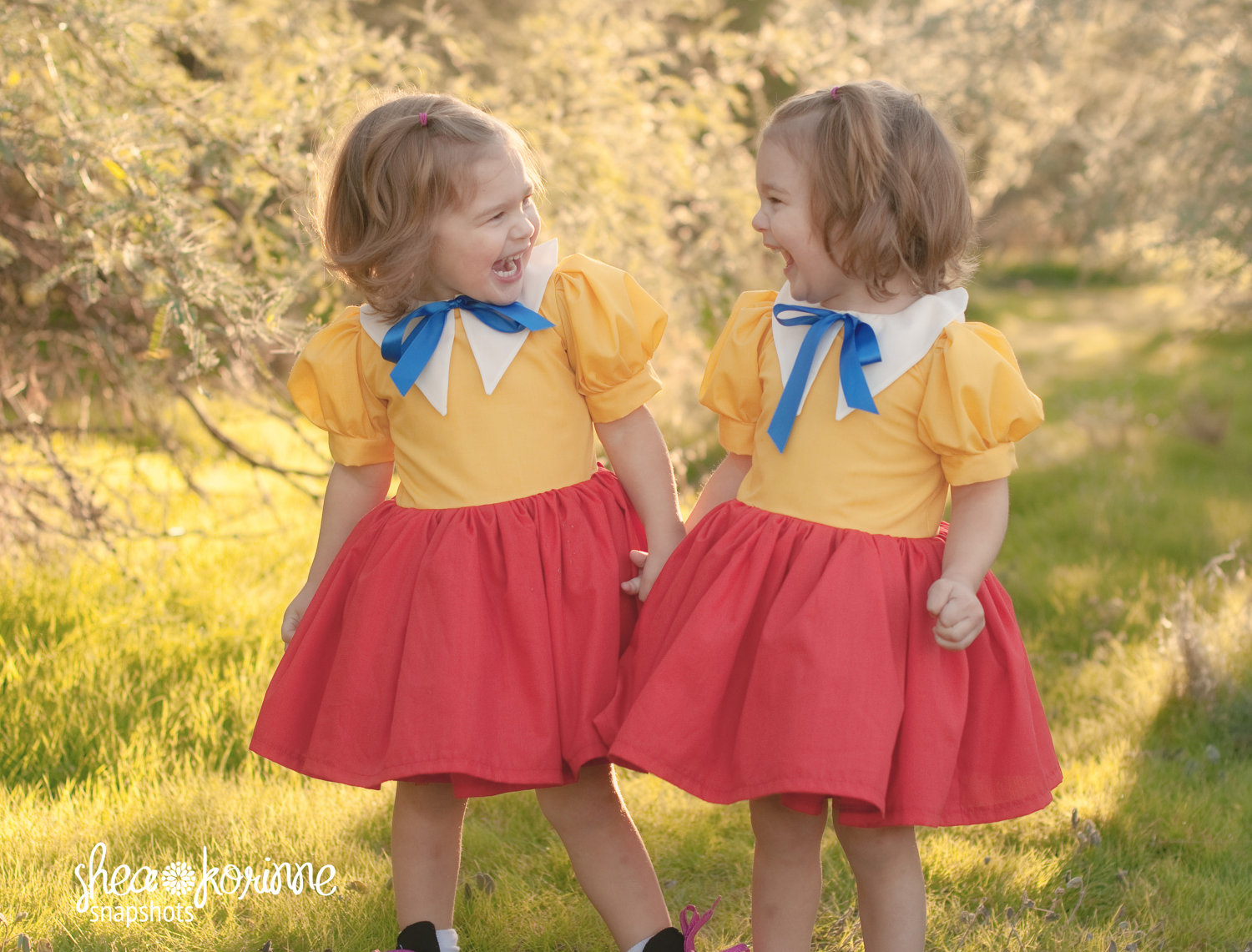 Tweedledum and Tweedledee