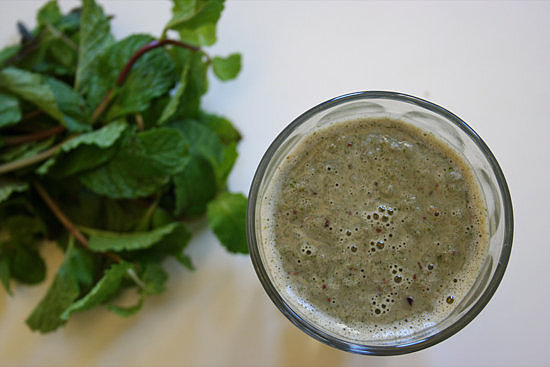 Mint Chocolate Chip Shake Mint Chocolate Chip Shake