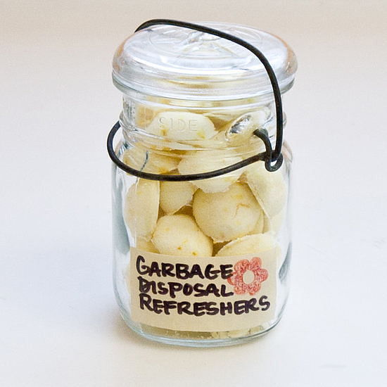 Garbage Disposal Refreshers Garbage Disposal Refreshers