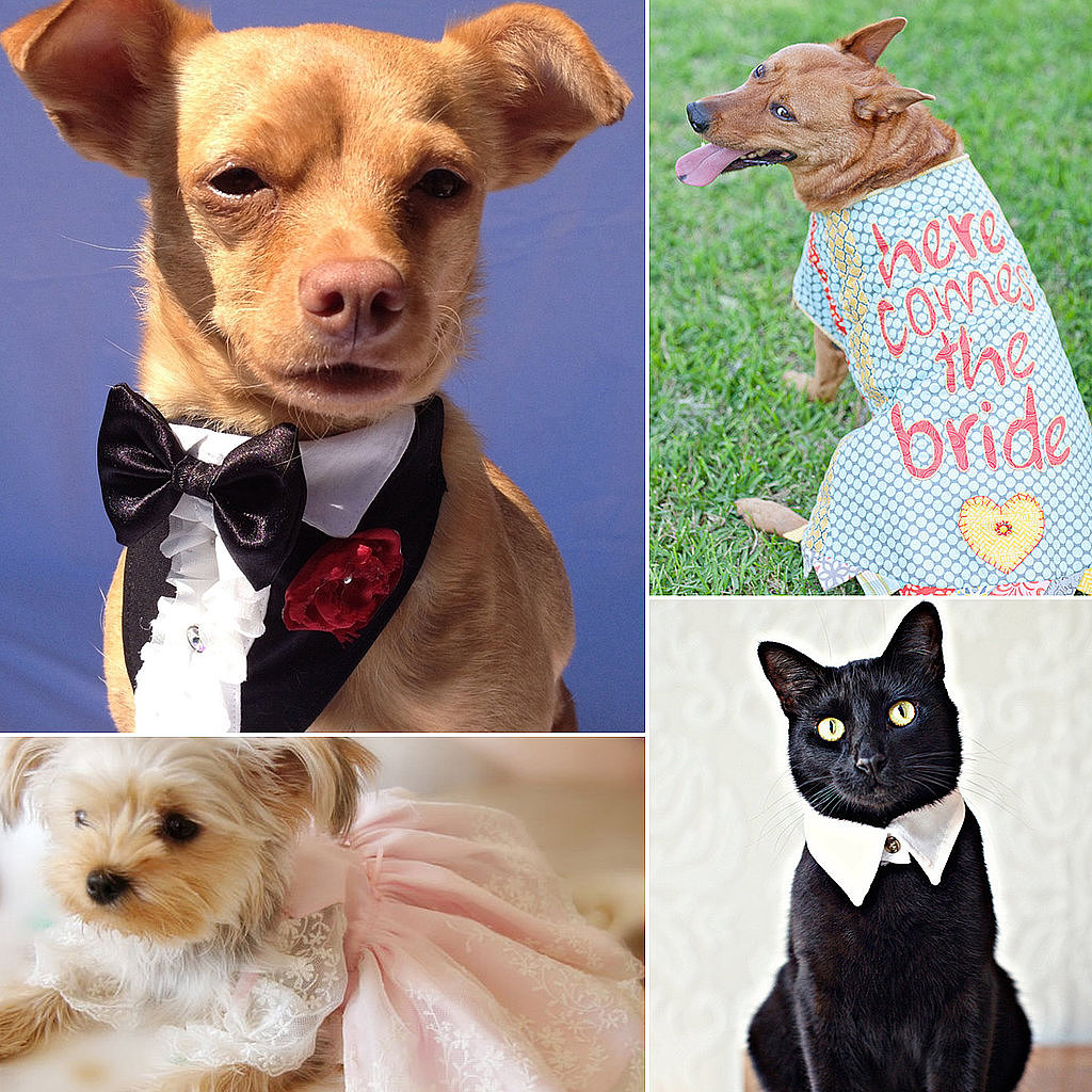 Head over to POPSUGAR Pets to find the perfect little bridesmaid or groomsman outfit for your furry friend and a few ideas for how to include pets in a memorable way on your special day.
Head over to POPSUGAR Pets to find the perfect little bridesmaid or groomsman outfit for your furry friend and a few ideas for how to include pets in a memorable way on your special day.