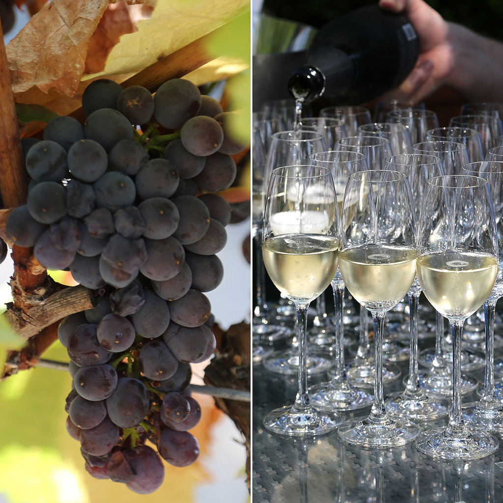 From Grape to Glass – How is Champagne & Sparkling Wine Made?