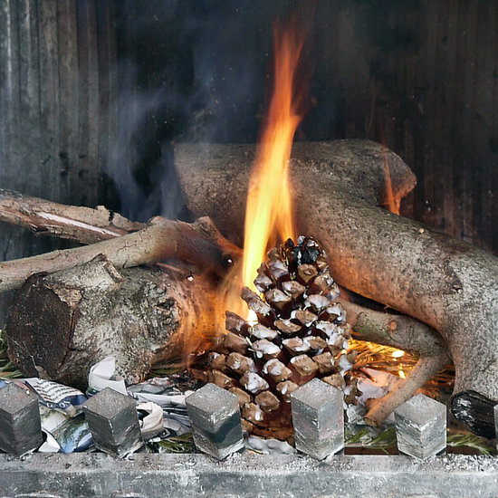 DIY Pinecone Fire Starter DIY Pinecone Fire Starter