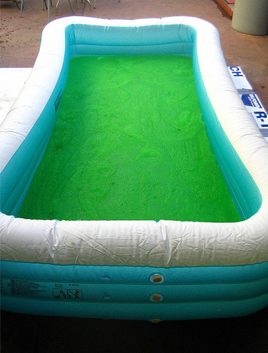 Jump Into a Pool Full of Jello Jump Into a Pool Full of Jello