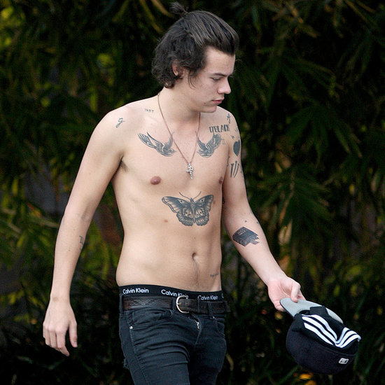 Harry Styles Shirtless Biography Wiki Celebrity News Hot Sex Picture