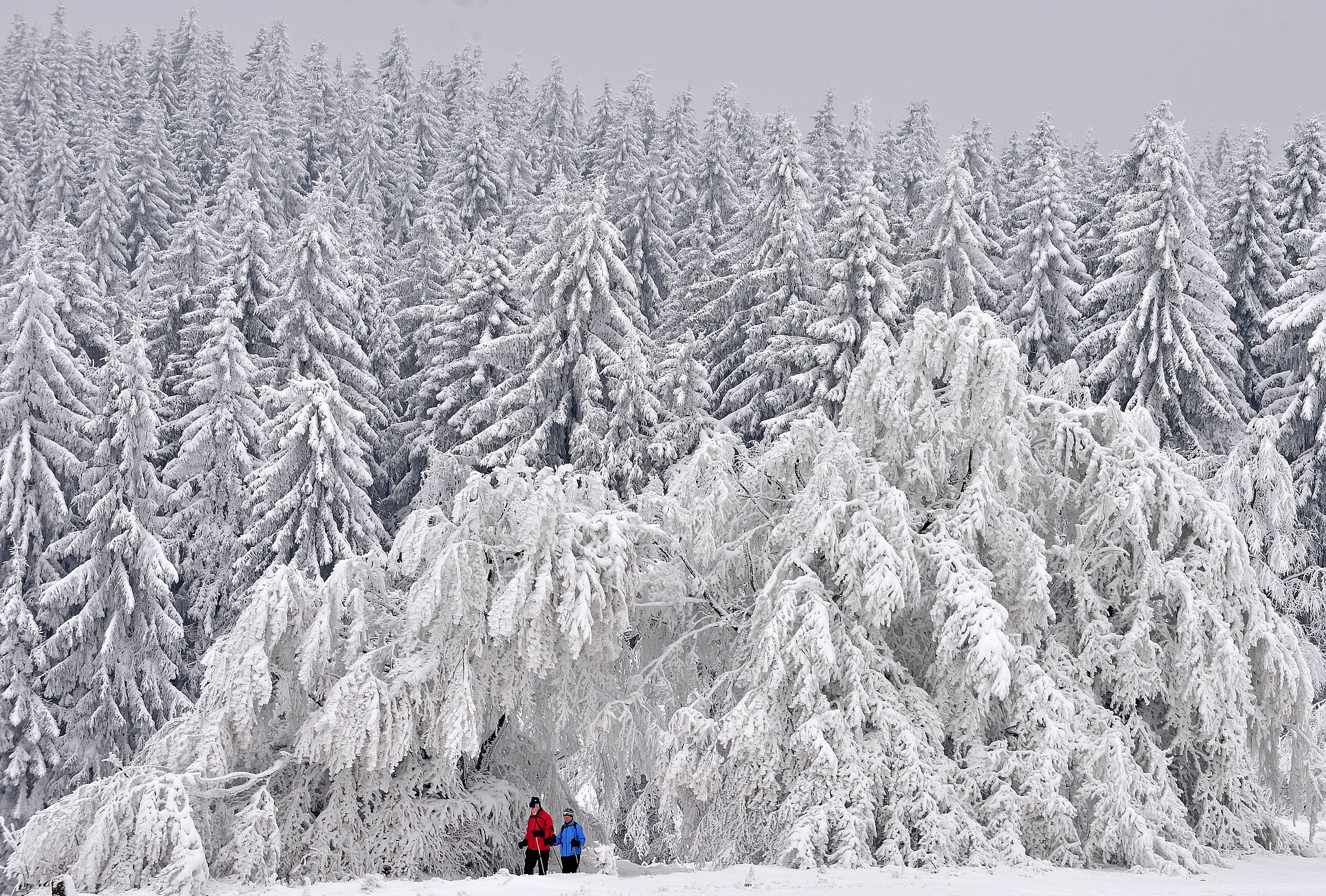 Trees in Masserberg, Germany, were covered with snow. | These 14 Pictures Perfectly Capture 2014