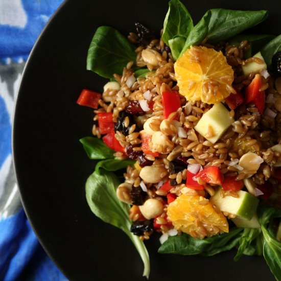 Fast Dinner Ideas Fast Dinner Ideas