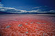 Lake Natron, Tanzania