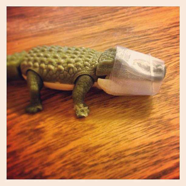 Taped-Up Gator Taped-Up Gator