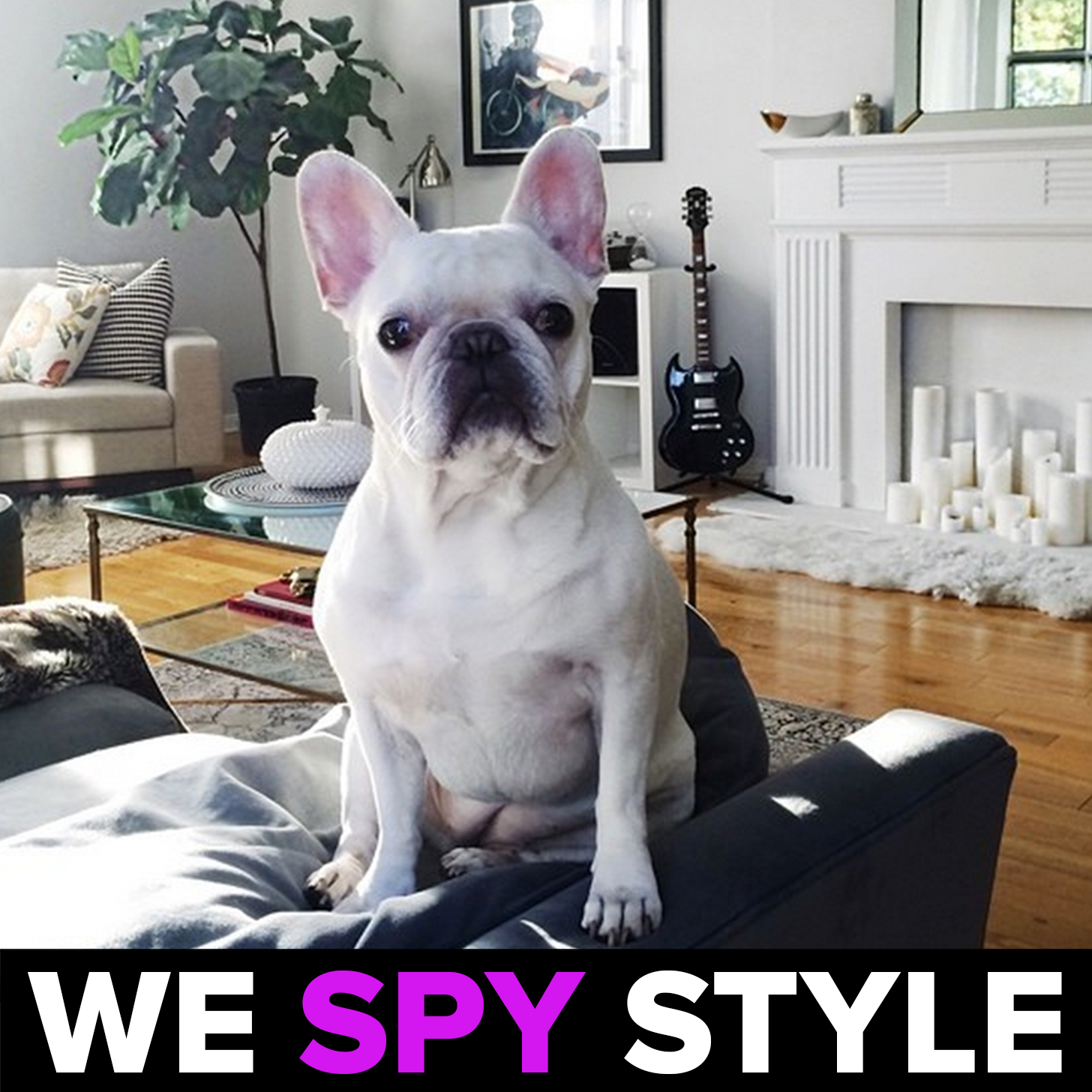 Are You the Next Famous Fashion Blogger? Find Out!