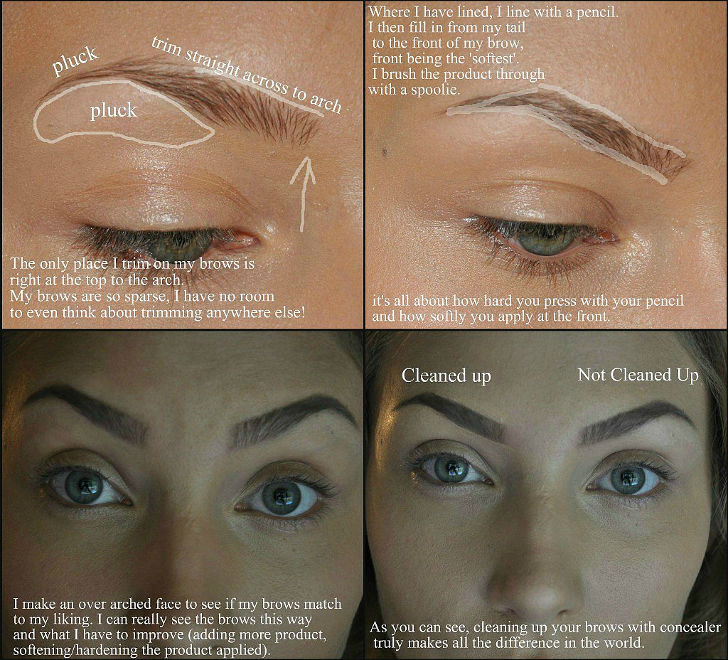 Brows Brows