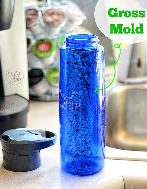 Moldy Water Bottle How to Clean Absolutely Everything in Your Kitchen