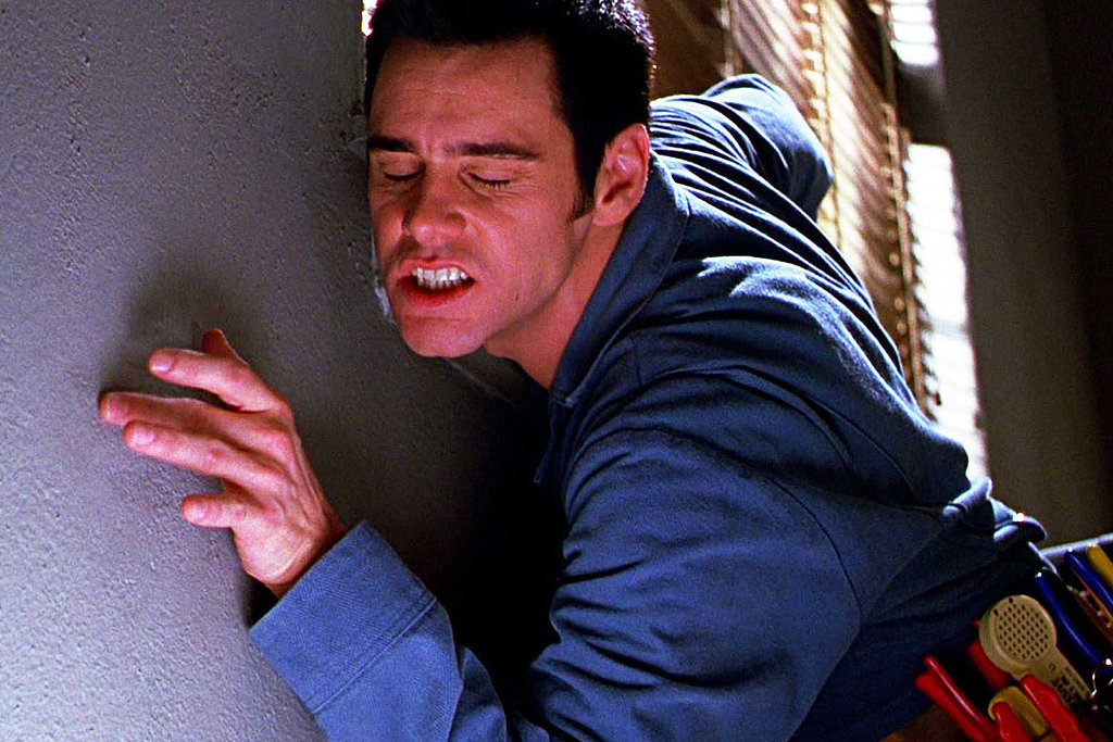 The Cable Guy The Cable Guy
