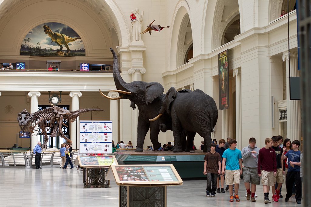 Amuse the Kids at a Museum Amuse the Kids at a Museum