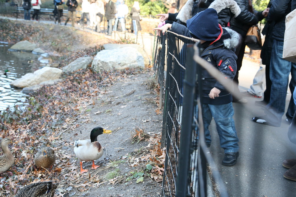 Wildlife Wonderment Wildlife Wonderment