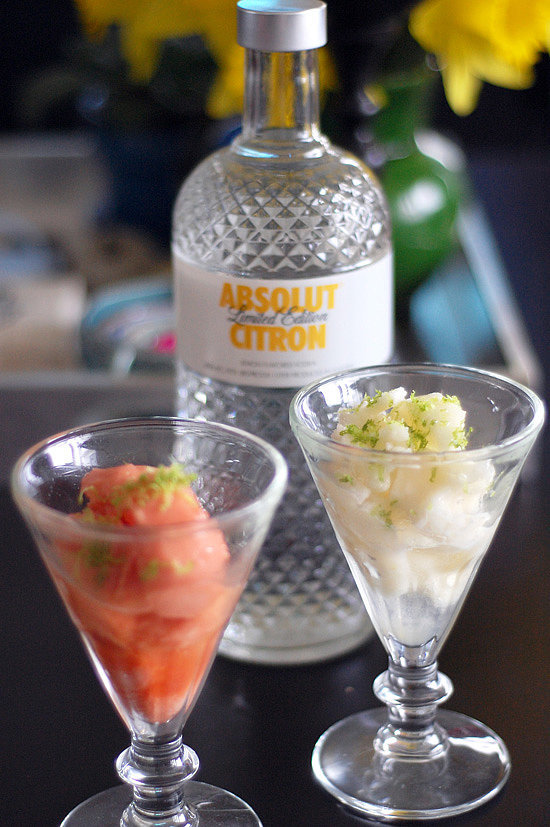 Sorbet With Citrus Vodka and Lime Zest Sorbet With Citrus Vodka and Lime Zest