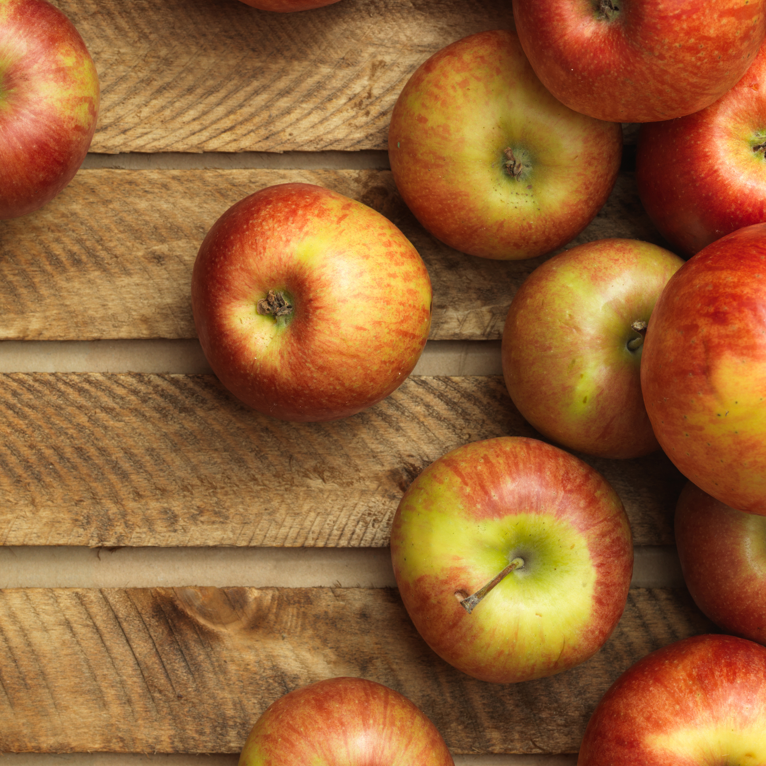 10 Ways to Get Your Apple Fix This Fall