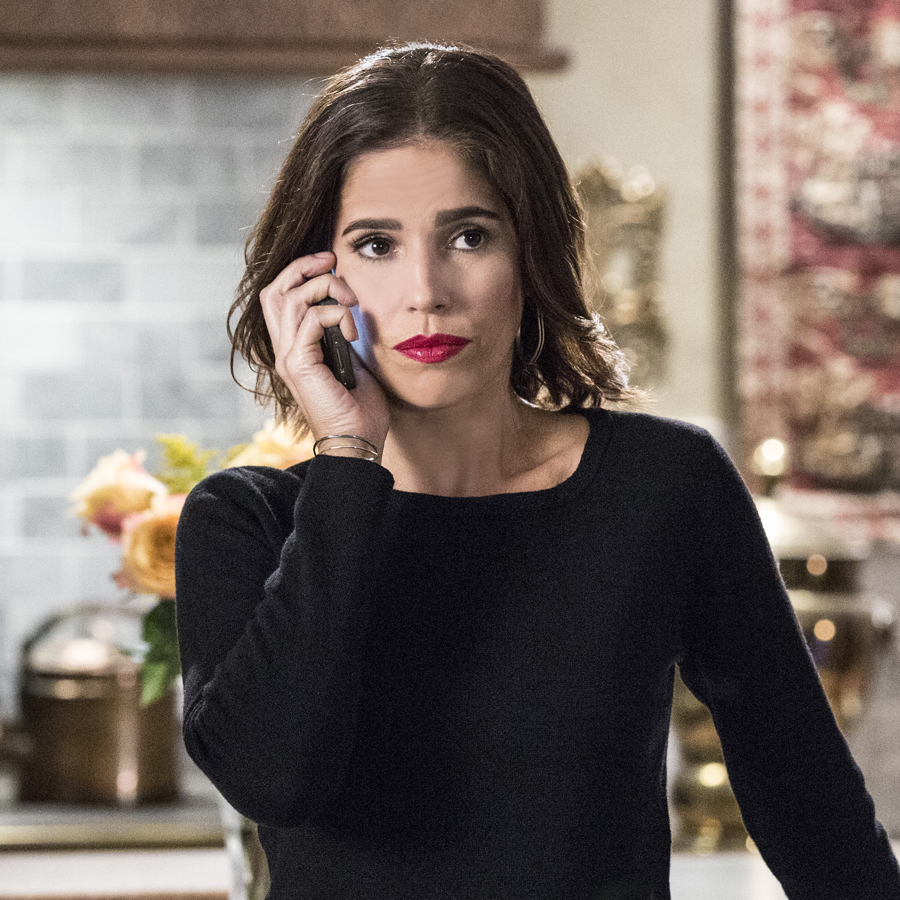 Is How to Get Away With Murder the New Scandal? Ana Ortiz Explains