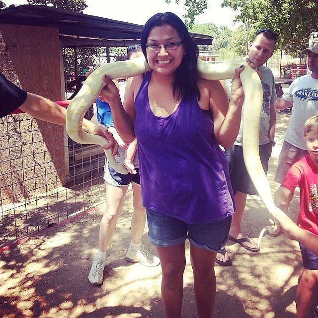 The Same Goes For This Snake The Same Goes For This Snake