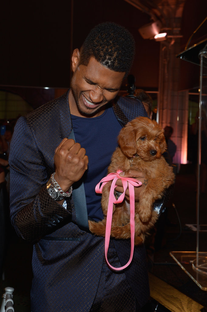 Usher famously bid $12,000 for a Goldendoodle puppy at the Pencils of Promise Gala in October 2012 — look how excited he was about his win!
Usher famously bid $12,000 for a Goldendoodle puppy at the Pencils of Promise Gala in October 2012 — look how excited he was about his win!