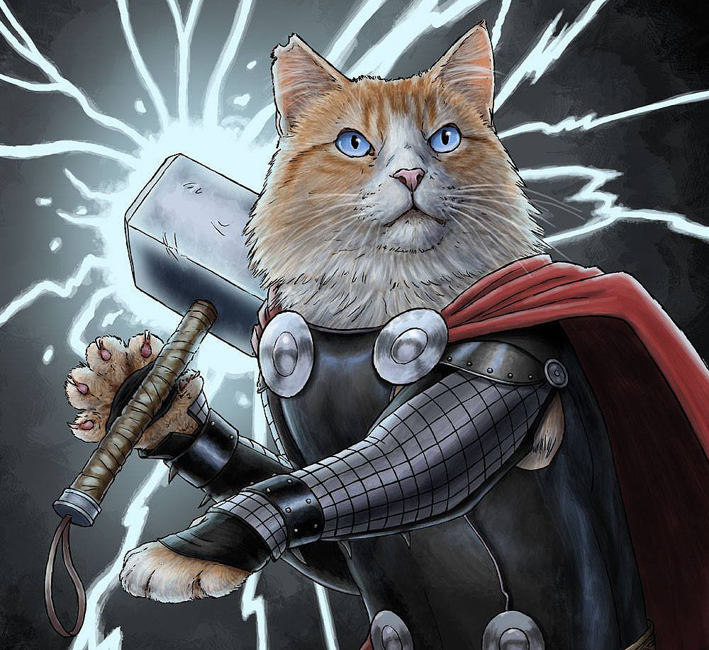 Cats Dressed as Superheroes