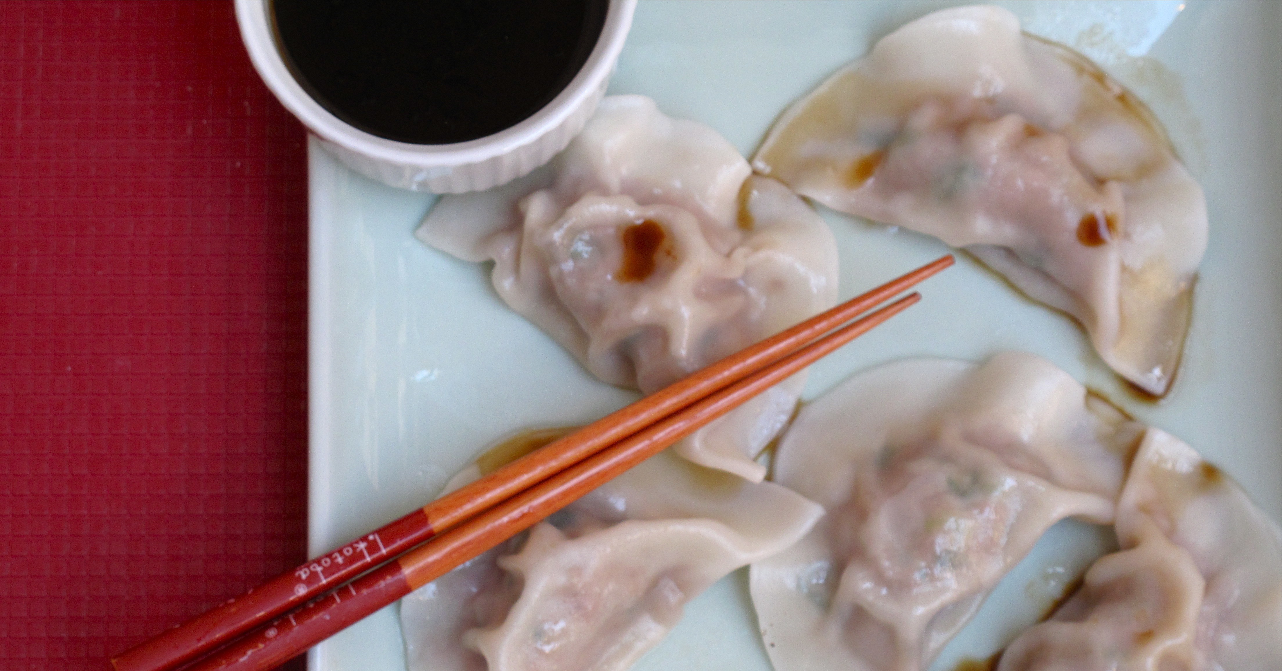 Shui Jiao (Chinese Pork Dumplings) Takeout Fakeout 10 Restaurant