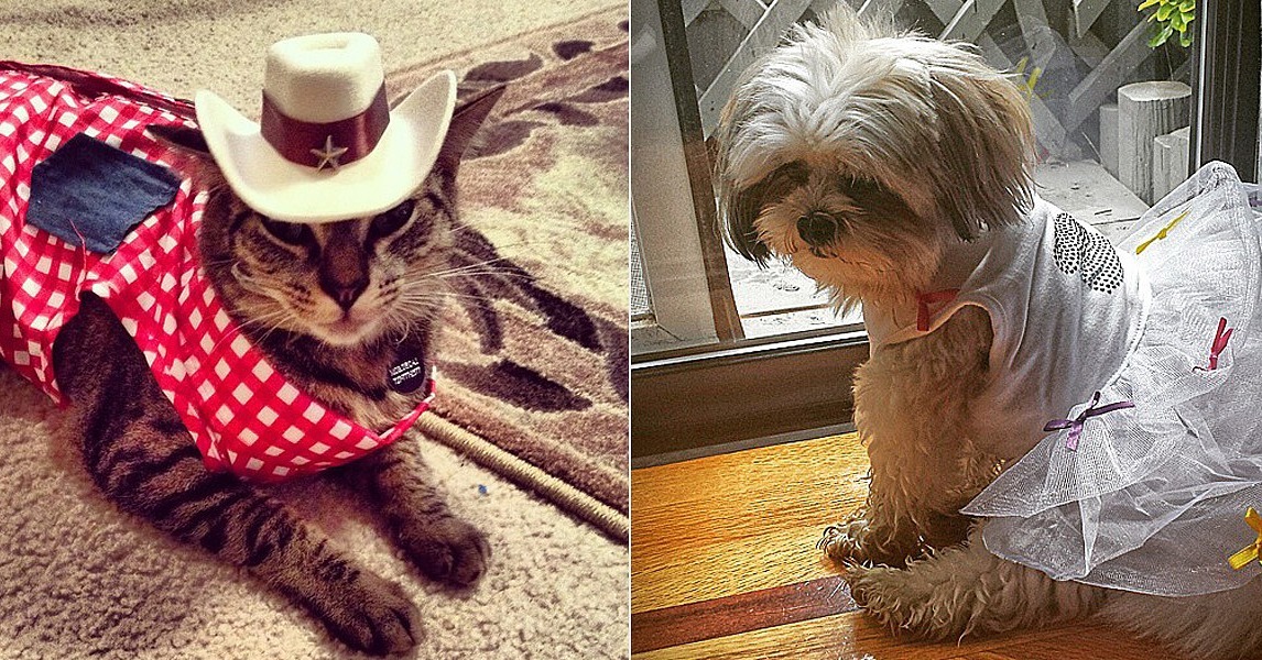 Dress Up Your Pet Day POPSUGAR Pets