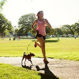 Why Your Pet Should Be As Fit As You Why Your Pet Should Be As Fit As You