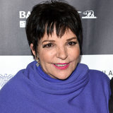 Liza Minnelli Checked Into Rehab