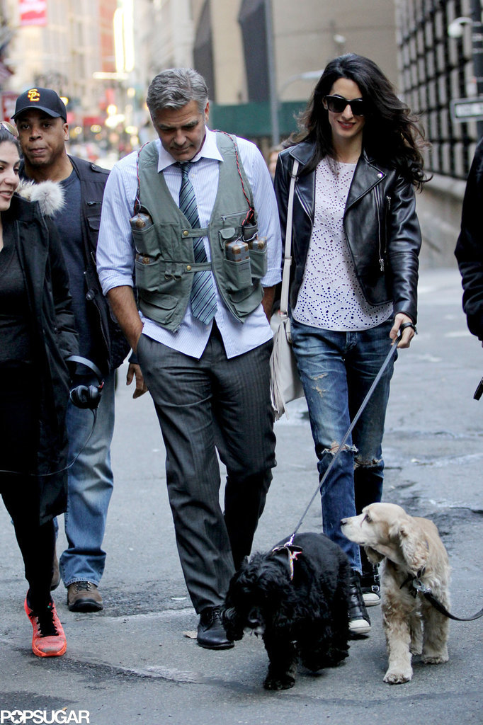Amal and EINSTEIN!!! (and a blonde pooch) visit George on set, 4-12-15 Amal-Alamuddin-Visits-George-Clooney-Set-His-Dog