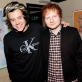 Sheeran Harry Styles's Penis: It's