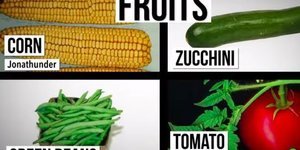 The Time Is Ripe To Explain The Difference Between Fruits And Vegetables