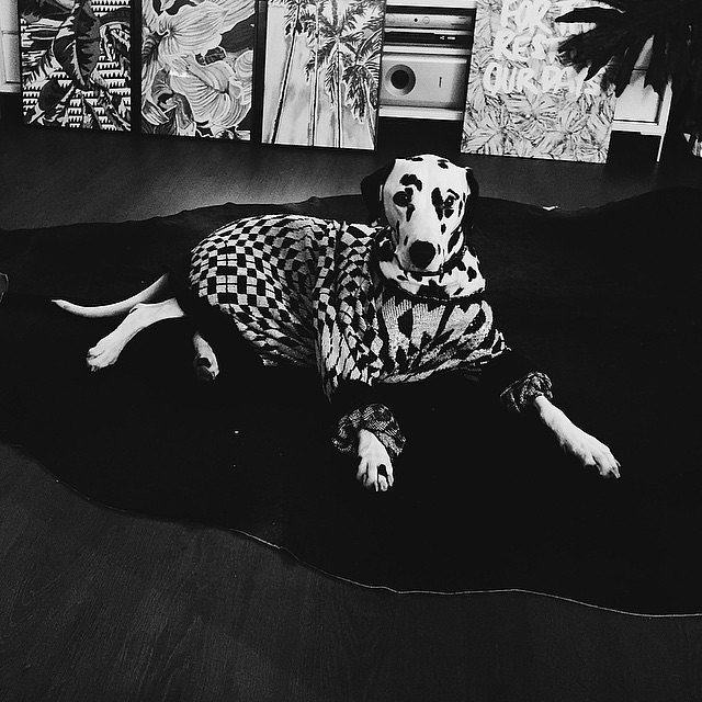 Amazing Australian Interior Stylists on Instagram | POPSUGAR Home Australia 640 x 640 · 85 kB · jpeg