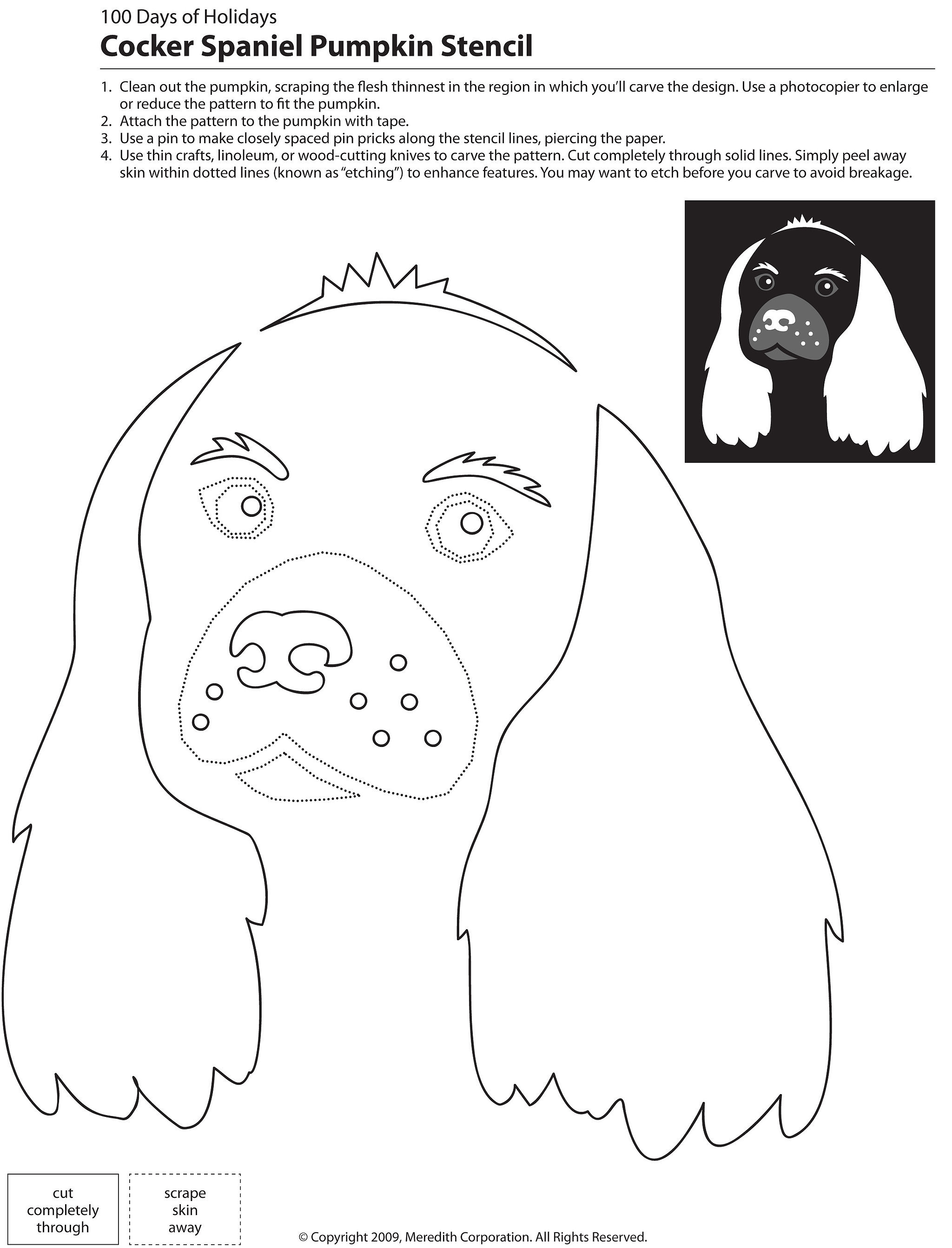 Dogs, Cats, and Other Pets 22 Downloadable Dog Breed Pumpkin Stencils