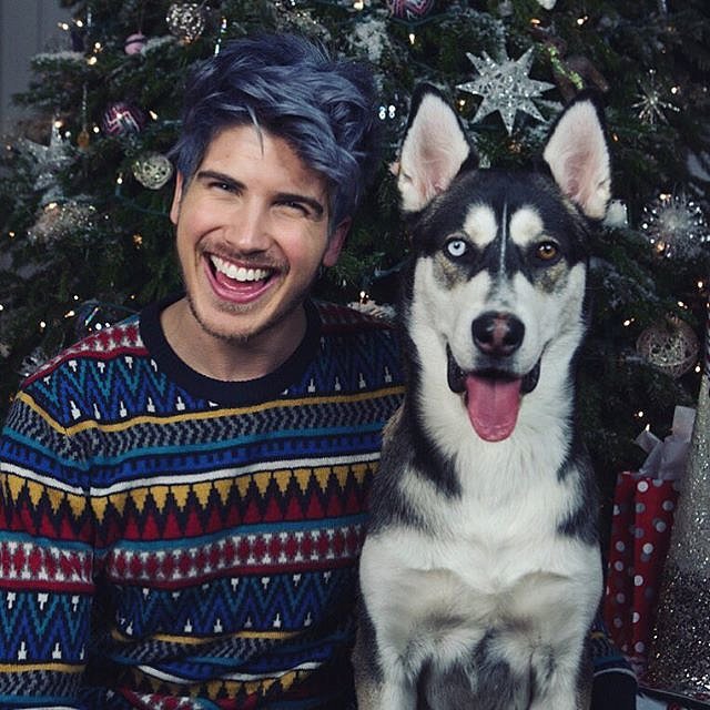 Joey Graceffa's Dog, Wolf POPSUGAR Pets