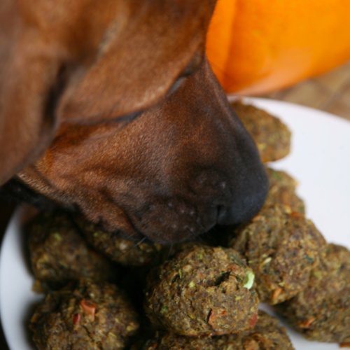 DogFriendly Meatball Recipe POPSUGAR Pets