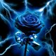 ThunderRose ThunderRose