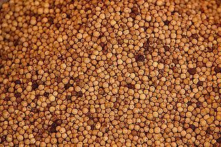 Burning Question: Why Does White Pepper Smell Unpleasant? Burning Question: Why Does White Pepper Smell Unpleasant?