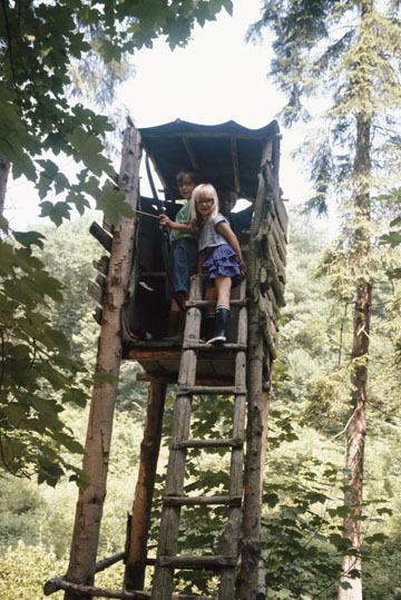 Guess Who Dreamt of Building a Grandiose Tree House? Guess Who Dreamt of Building a Grandiose Tree House?